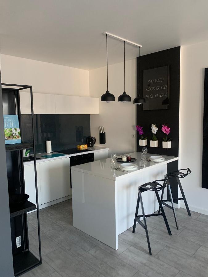 Ekskluzywny Penthouse Z Ogrodem W Centrum Lodzi 외부 사진