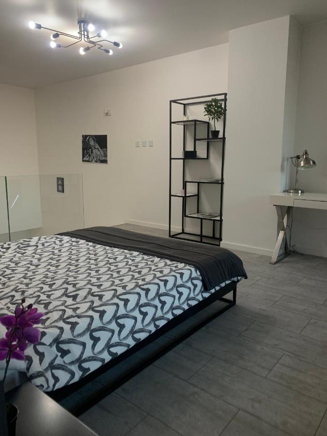 Ekskluzywny Penthouse Z Ogrodem W Centrum Lodzi 외부 사진