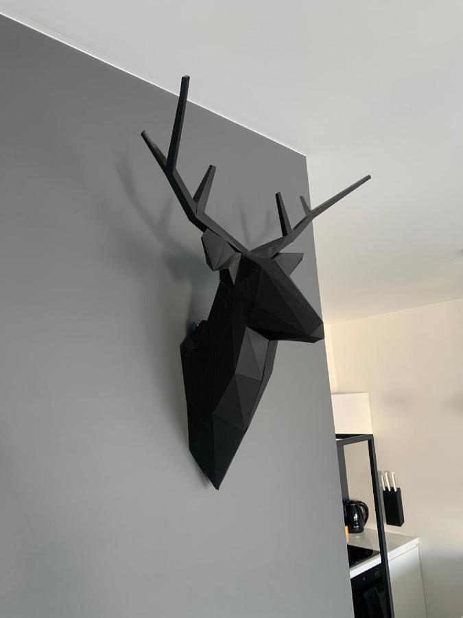 Ekskluzywny Penthouse Z Ogrodem W Centrum Lodzi 외부 사진