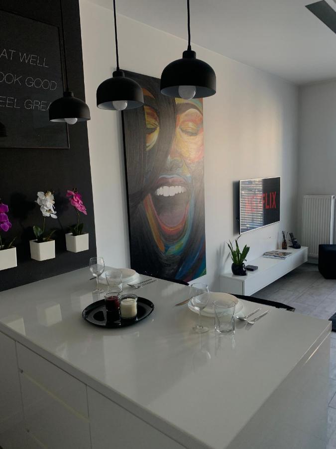 Ekskluzywny Penthouse Z Ogrodem W Centrum Lodzi 외부 사진
